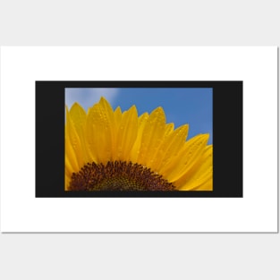 Sunny Flower Posters and Art